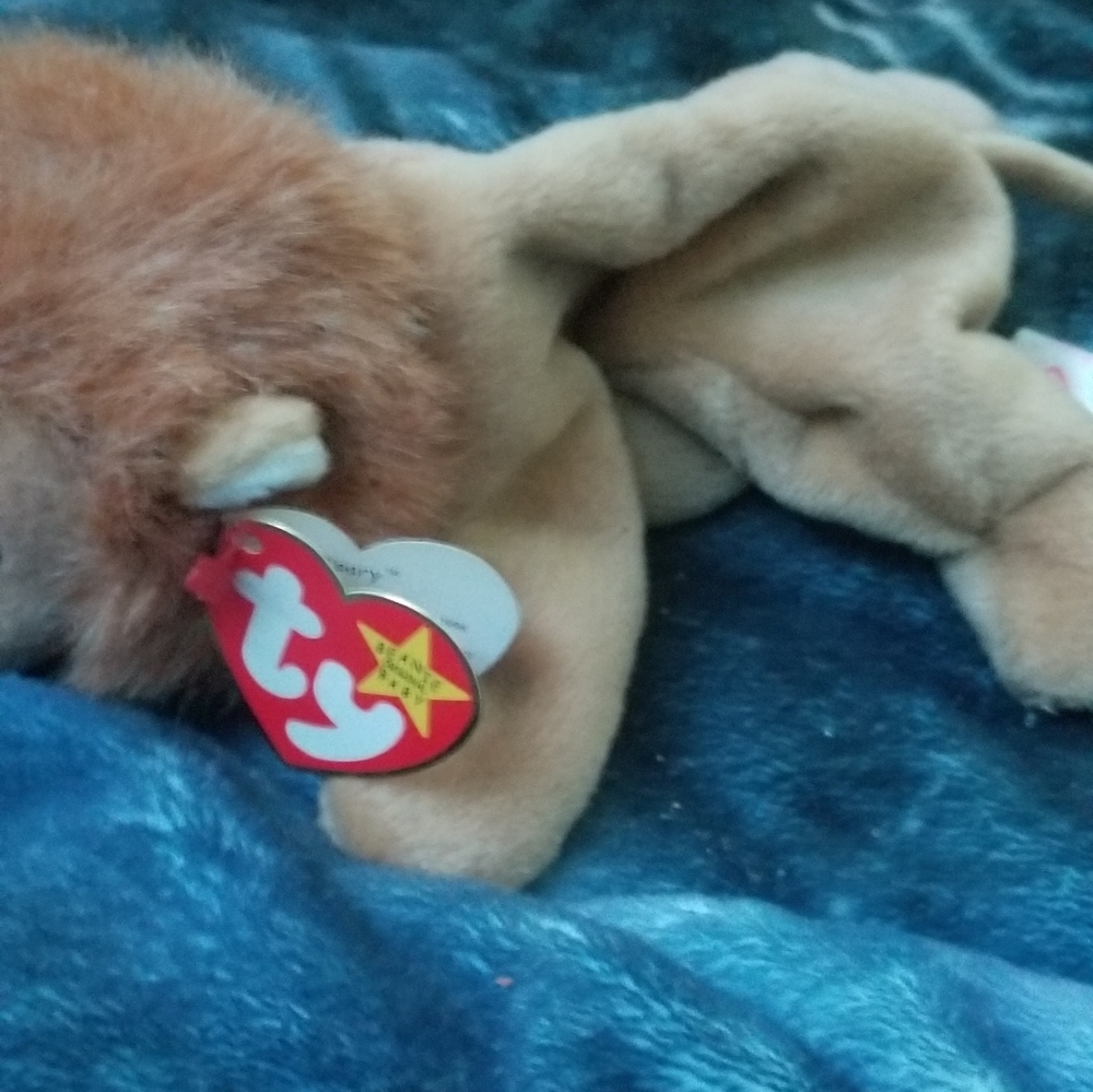 Roary beanie baby